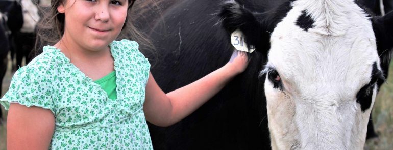 Our Farm to Your Fork